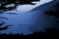 Big Sur - Ragged Point