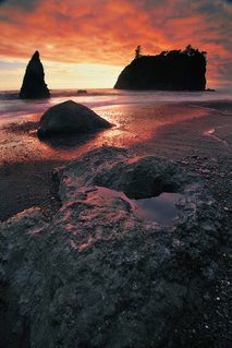 Ruby Beach, WA - Olympic National Park