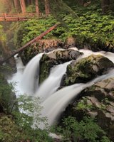 Sol Duc Falls, Olympic National Park, WA