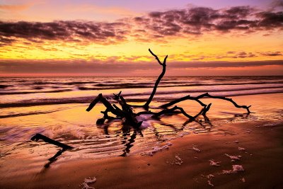 Hunting Island, SC