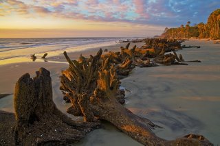 Hunting Island, SC