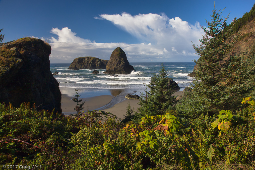 Oregon Coast, OR